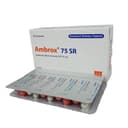 Ambrox SR