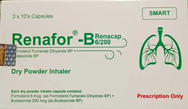 RENAFOR-B