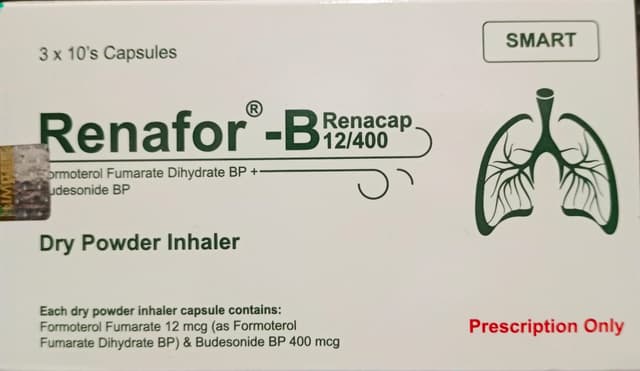 RENAFOR-B