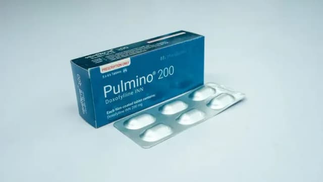 Pulmino
