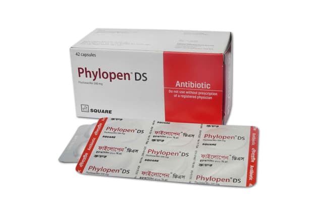 Phylopen DS